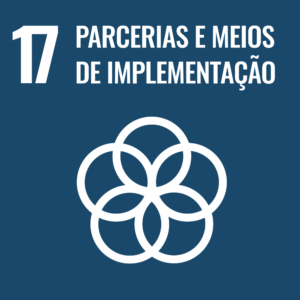ODS 17 – Parcerias e meios de implementação