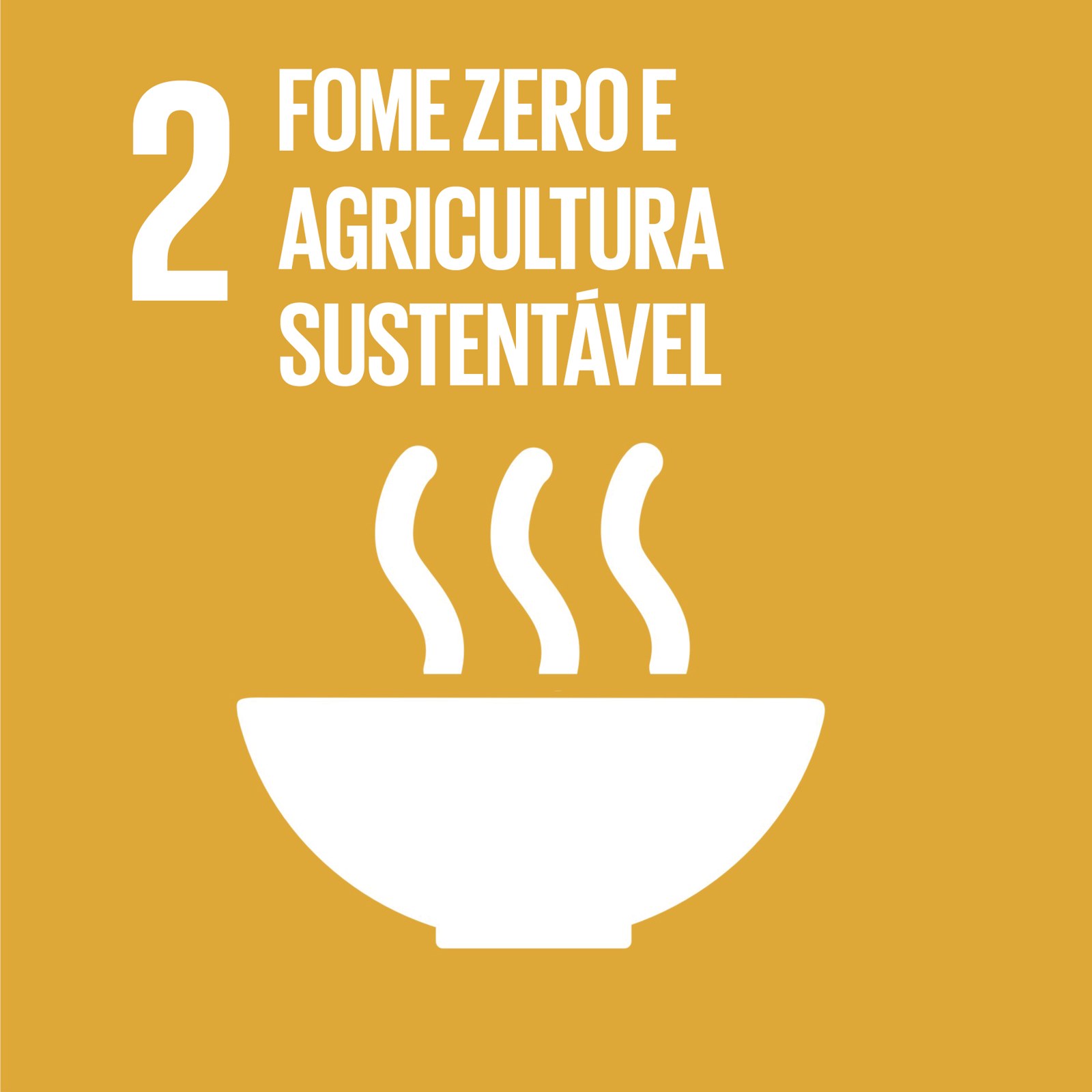 Cubo ODS 2 – Fome Zero e Agricultura Sustentável – frente