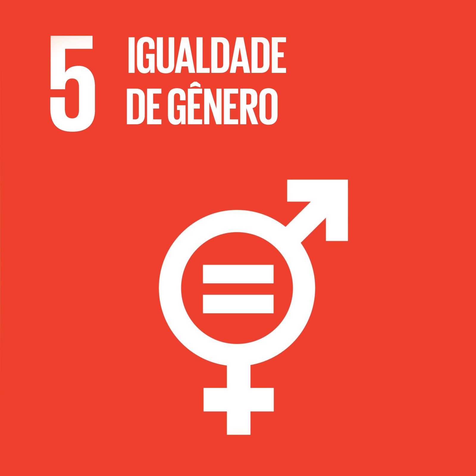 Cubo ODS 5 – Igualdade de Gênero – frente