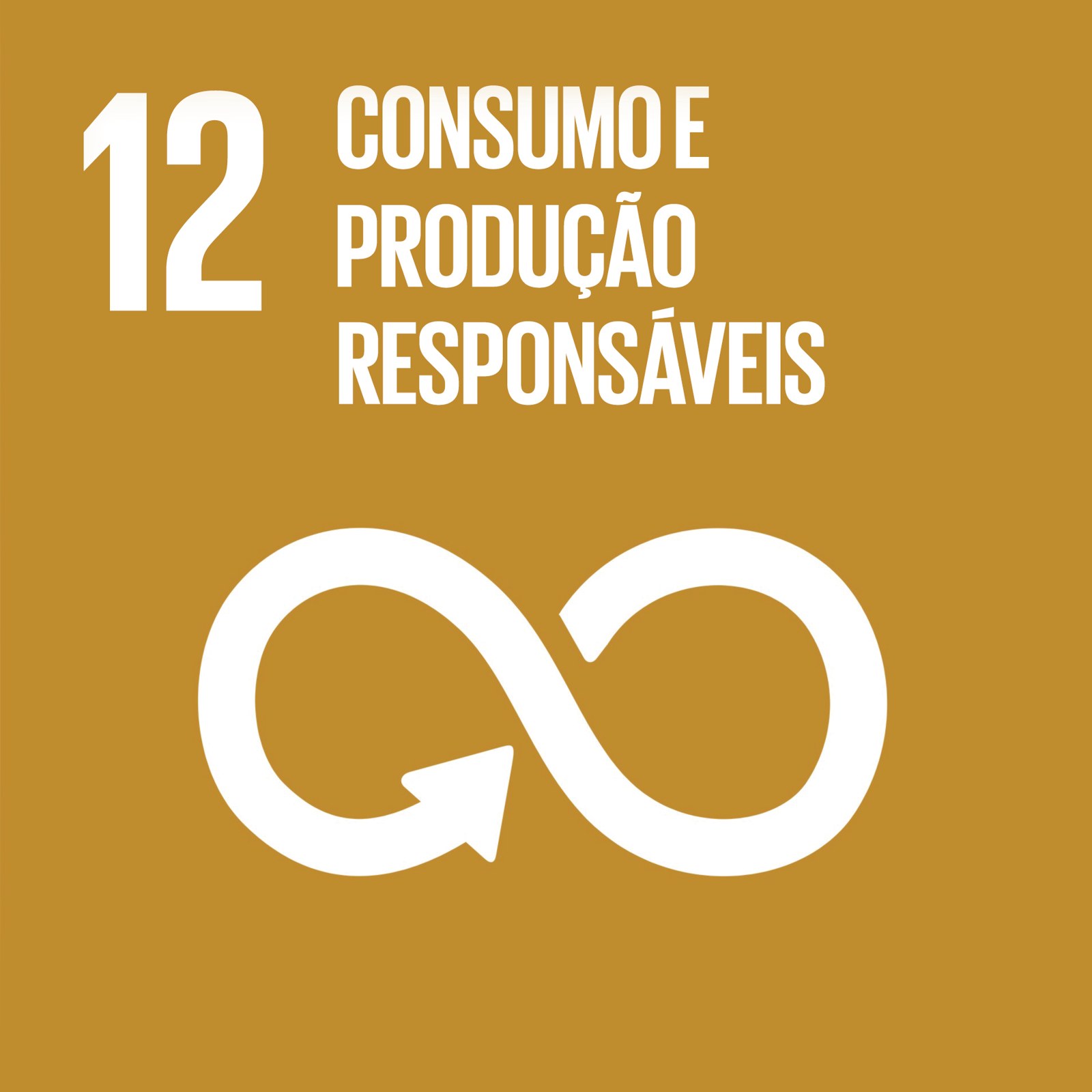 Cubo ODS 12 – Consumo e Produção Responsáveis – frente
