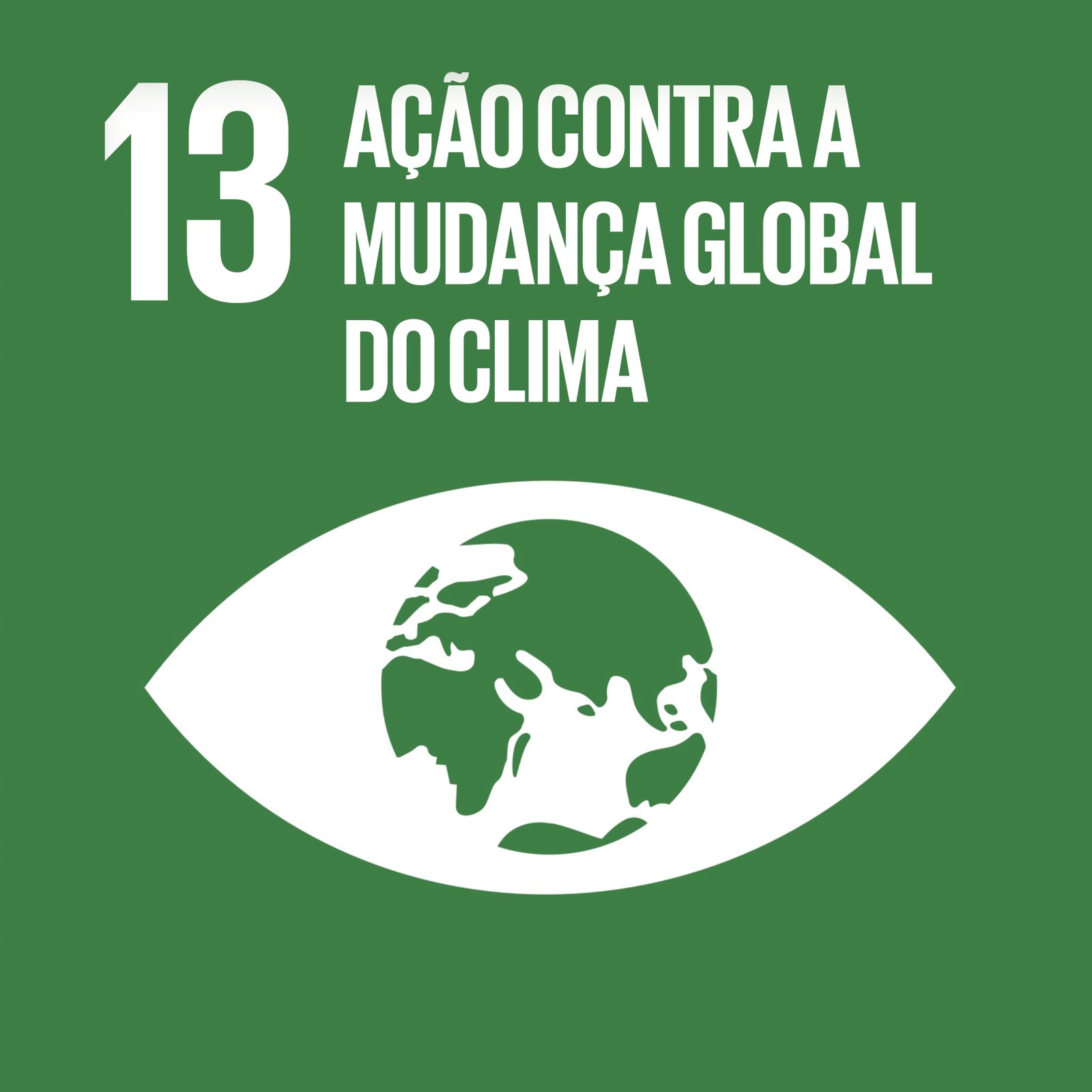 Cubo ODS 13 – Ação Contra a Mudança Global do Clima – frente