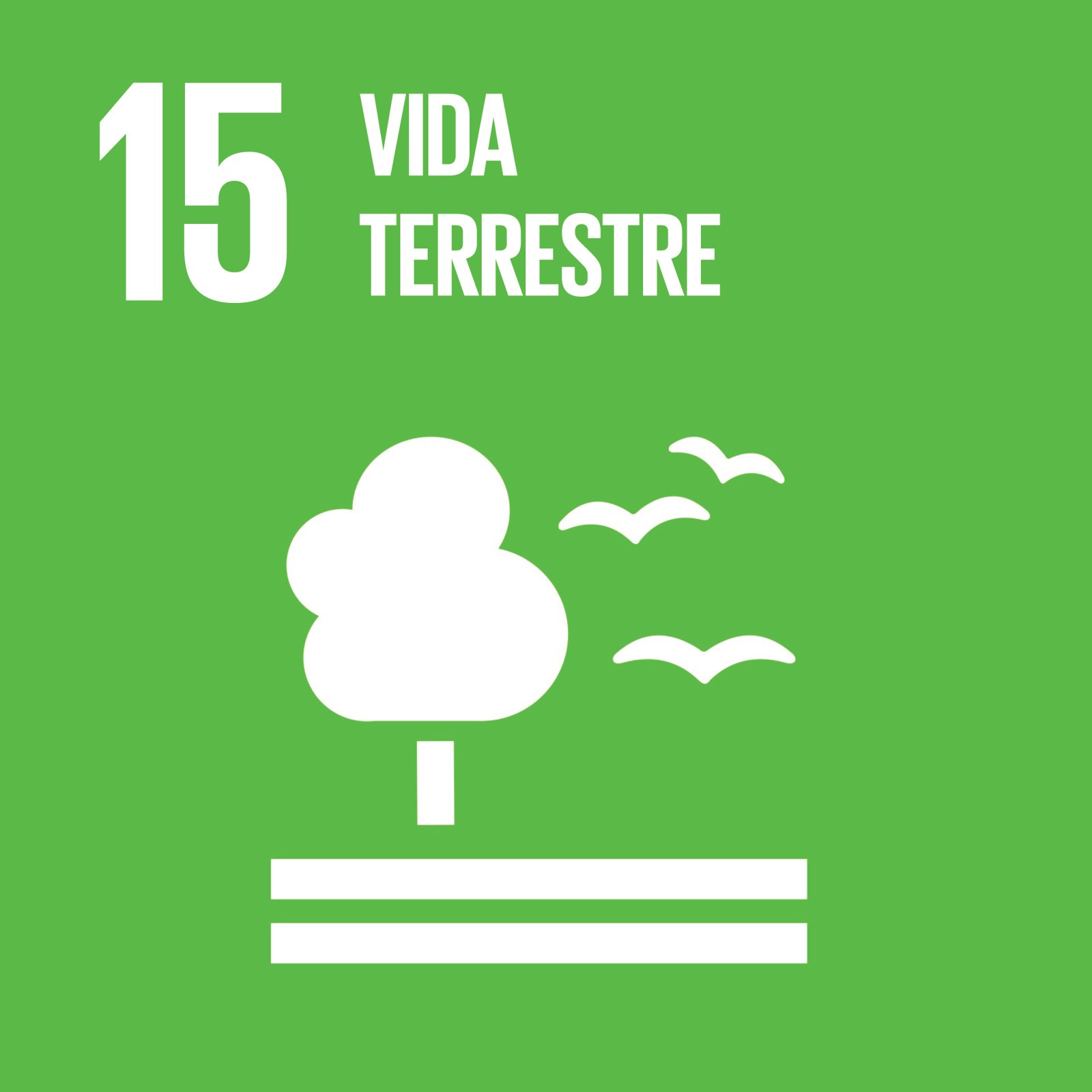Cubo ODS 15 – Vida Terrestre – frente