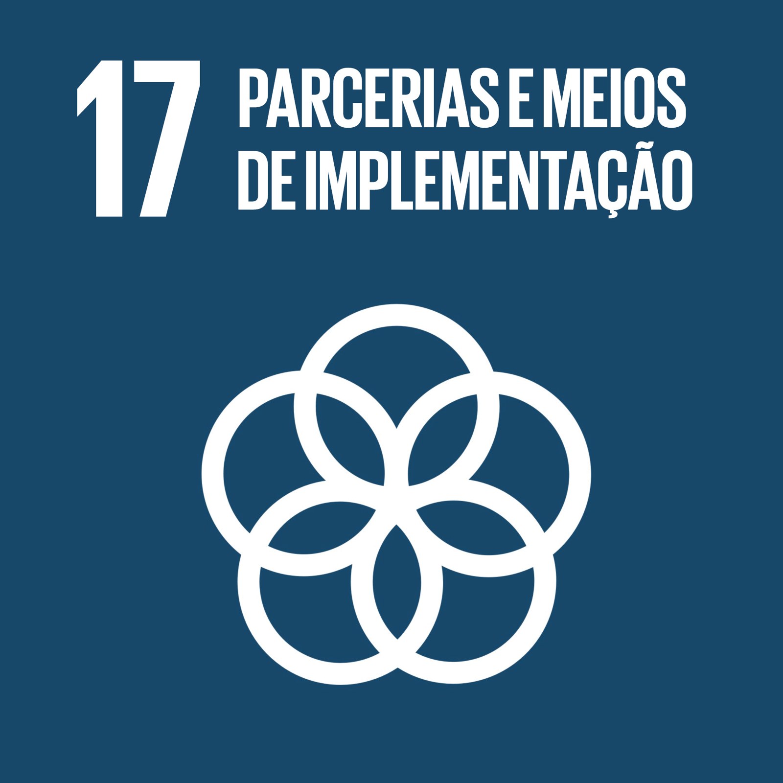 Cubo ODS 17 – Parcerias e Meios de Implementação – frente