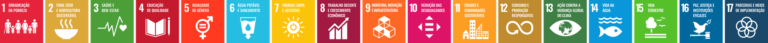 Os 17 Objetivos de Desenvolvimento Sustentável